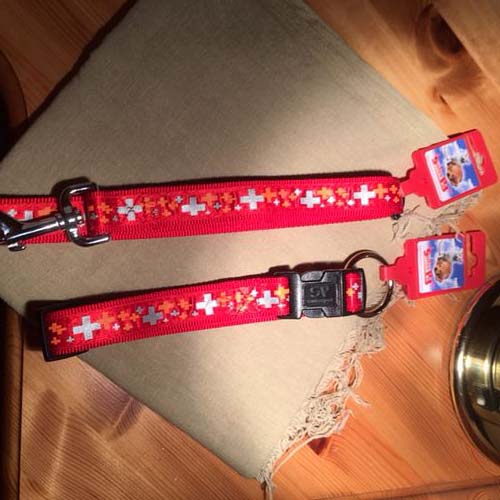 leash